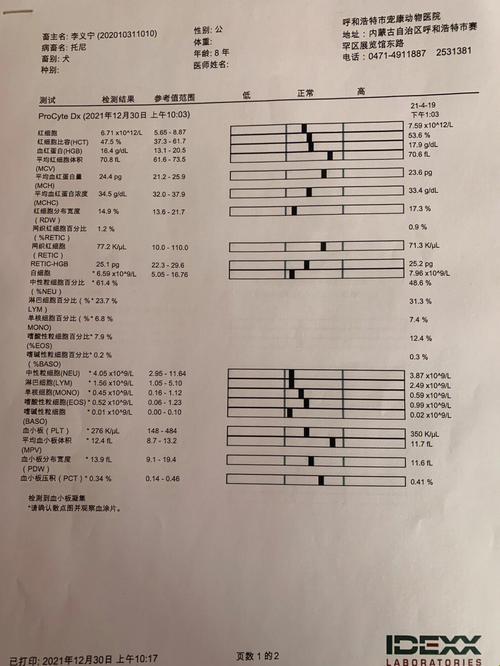 科技江湖，双星逐对体检，谁是幕后新星？