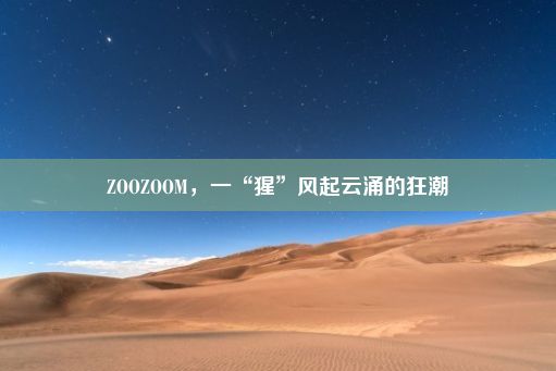 ZOOZOOM，一“猩”风起云涌的狂潮