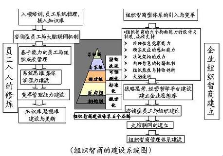 “世智组织”逗趣杂谈