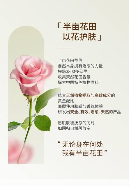 “半亩花田”：诗意背后的荒诞现实