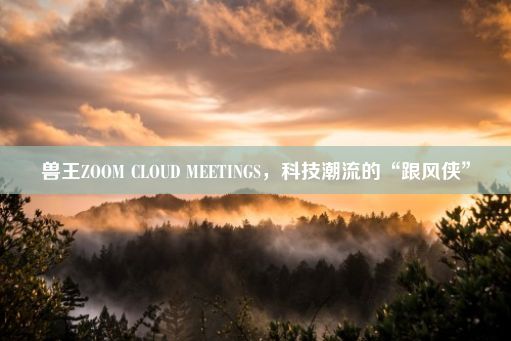 兽王ZOOM CLOUD MEETINGS，科技潮流的“跟风侠”