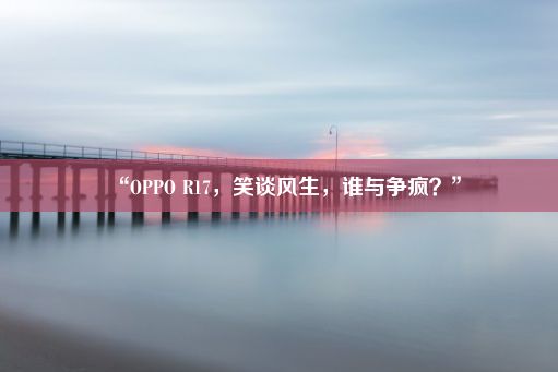 “OPPO R17，笑谈风生，谁与争疯？”