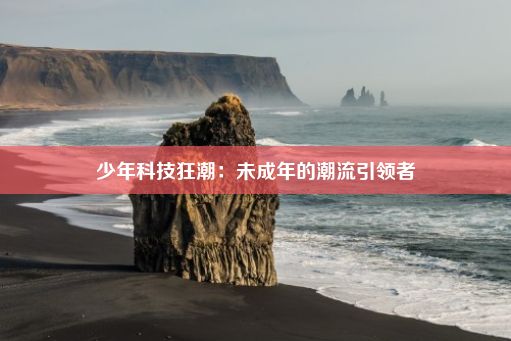 少年科技狂潮：未成年的潮流引领者